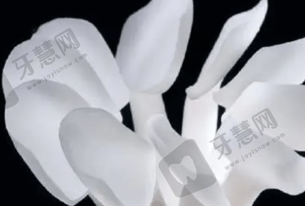 耐用性与长期成效的较量