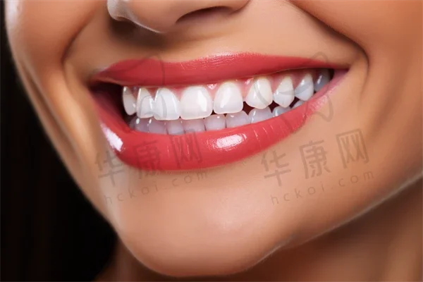 上海迈维齿科各分院信息