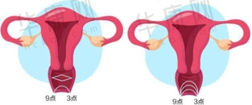 练银发医生资质信息
