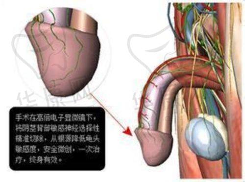 西安叶子医疗美容医院的特色服务