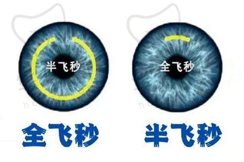 崔迎春医生预约方式
