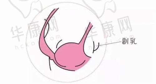 上海伯思立医疗美容倪锋医生资质信息