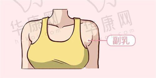 徐利刚医生擅长项目