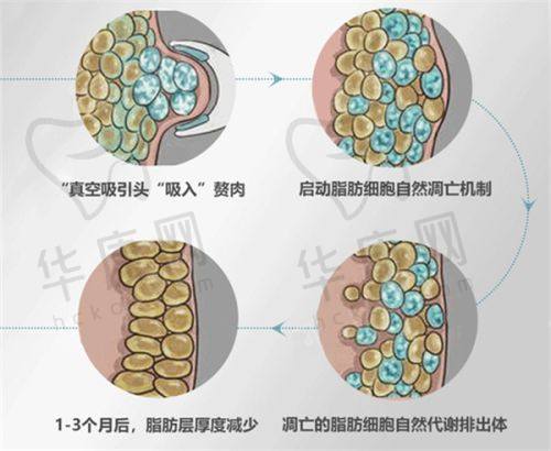 徐利刚医生资质信息