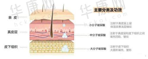 徐利刚医生简介