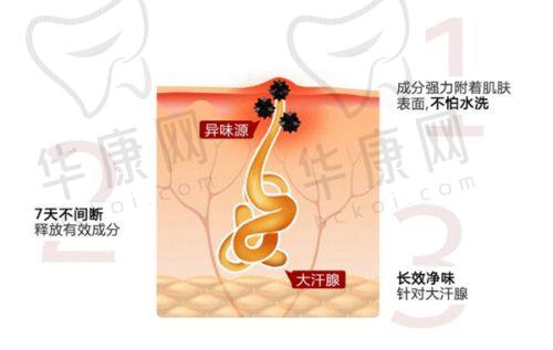 碧莲盛植发价格一览表大公开，不同毛囊单位套餐收费清晰，助你选合适方案