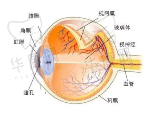 成都双楠医院眼科的设备与技术