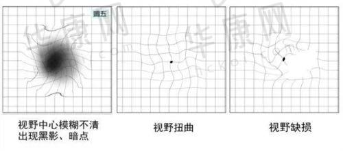 杨芳医生预约方式