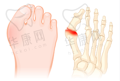 隋长清医生擅长项目