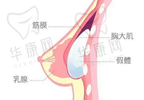 董开云医生眼部整形的成功实例与口碑