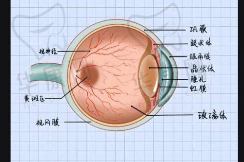 顾客对滕州启明眼科医院眼底检查评价如何？