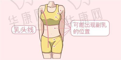 马智皇医生擅长项目