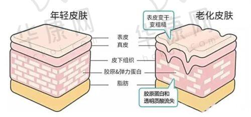 沈阳友谊美容医院的专精项目介绍