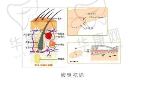 钟玉军 医生预约方式