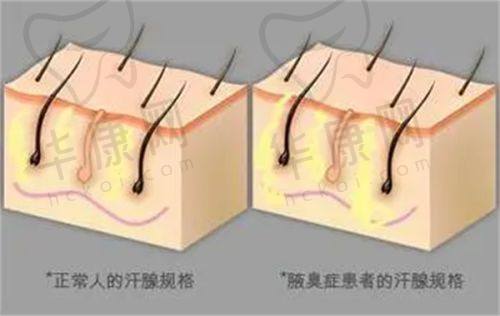 谭立文医生预约方式