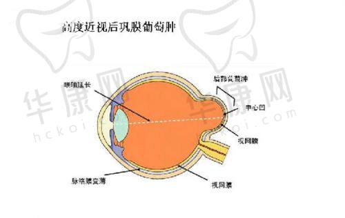 沧州爱尔眼科医院的乘车路线及服务特色有哪些？