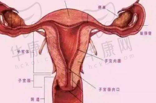 郑州韩辰华领医疗美容医院的价格