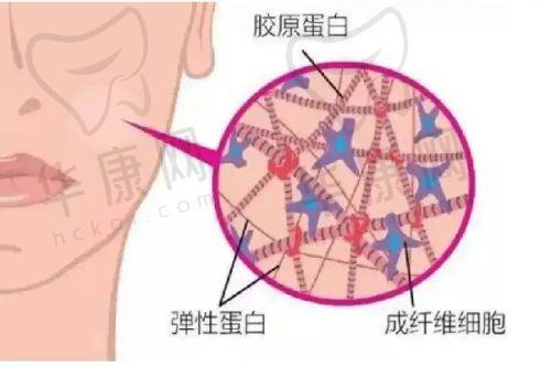 长沙美莱抗衰祛斑项目