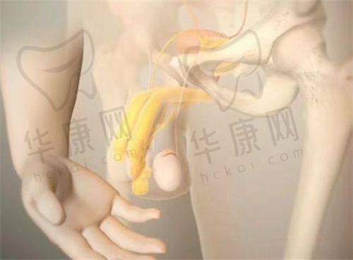 长沙美莱的技术实力口碑