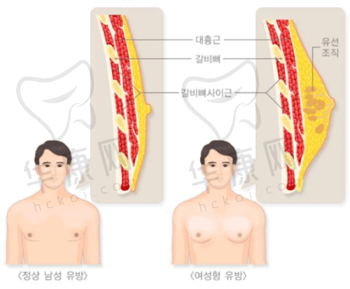 成都美莱医学美容医院黄小林做眼部修复的综合评价