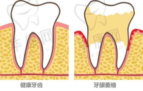 惠州惠城麦芽口腔医院的医生团队