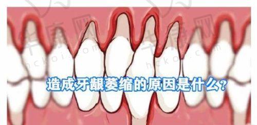 宜春袁州春城口腔的价格信息