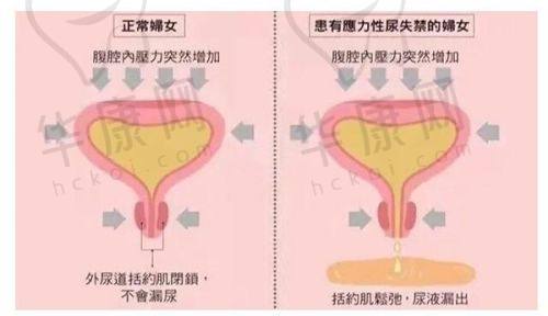成都东篱医院整形外科的综合实力