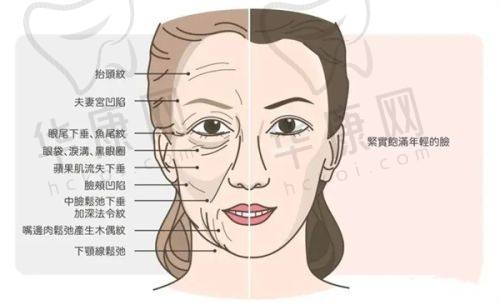 影响哺乳的关键因素