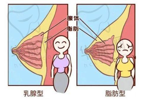 郑京湘医生预约方式