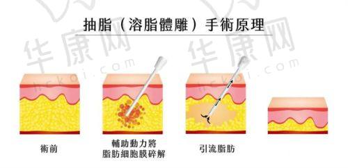 兰州臻韩美学用户口碑与反馈
