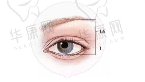 中山美南华美容医院的正规资质