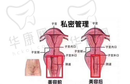 李希军 医生预约方式