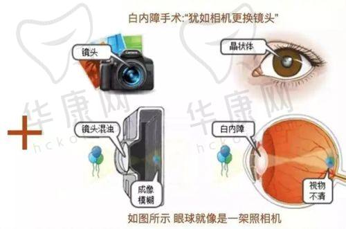北京蒂凡妮医疗美容郭建玲特色技术优势