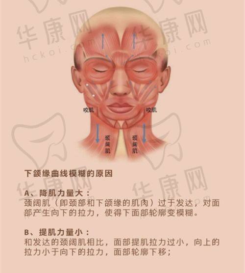 无锡坤如玛丽整形医院的医生团队