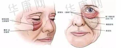 地址: 成都高新米兰柏羽医学美容医院