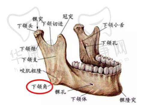 找上海王洪医生就诊,如何避坑与挂号?