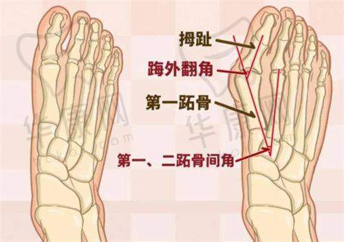 河南漯河缔莱美为何是中高端档次？凭优质服务与技术提供个性化纹眉服务