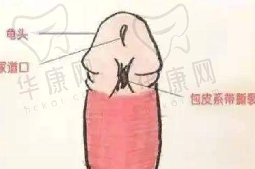 杨水斌医生资质信息
