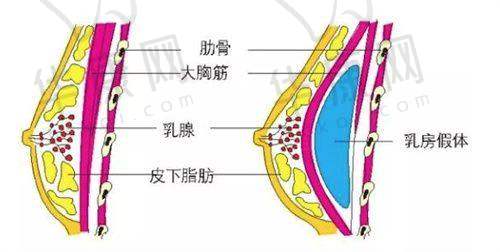 卢元刚医生的口碑反馈大调查