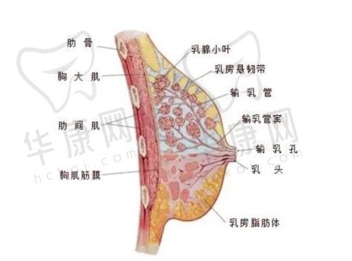 贵阳利美康医院孔令杰特色技术优势