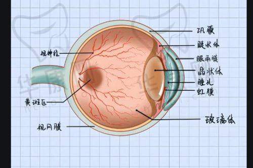 第三名：上海新视界眼科医院
