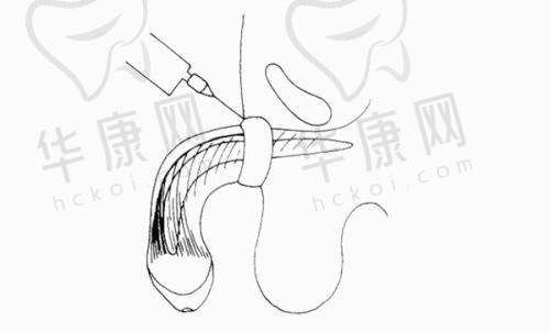 武汉五洲整形外科医院严玲医生资质信息