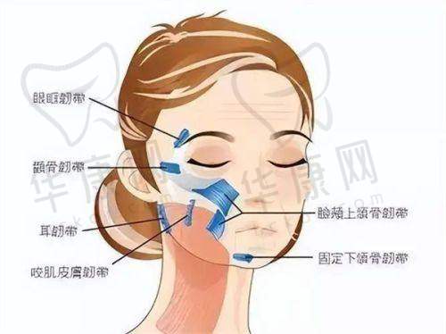 淄博壹美整形美容医院其他项目价格及特色有哪些?