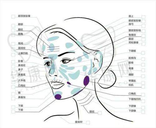 西宁美莱馨怡整形美容医院价格表如何?