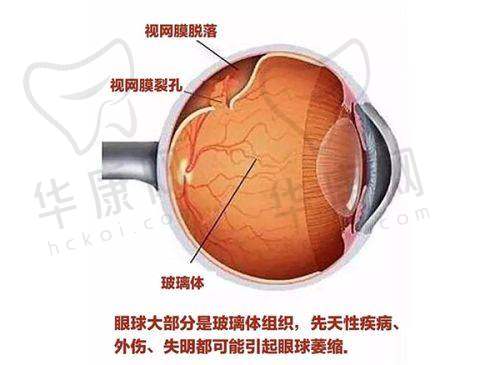 就诊前的预约与询问