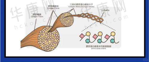 沈阳辽沈华美医院疤痕科的正规性