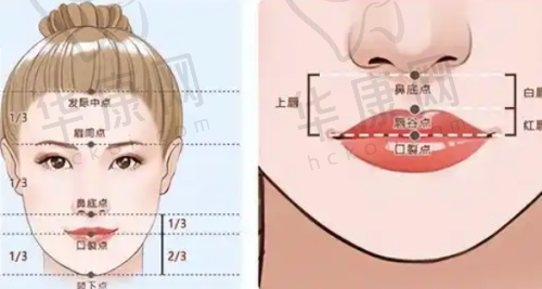 何尧华医生擅长项目
