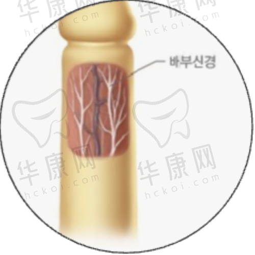 何尧华医生预约方式