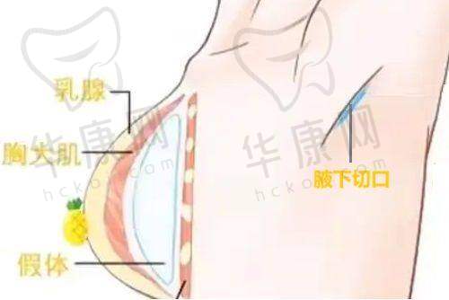 深圳美莱医院的综合优势