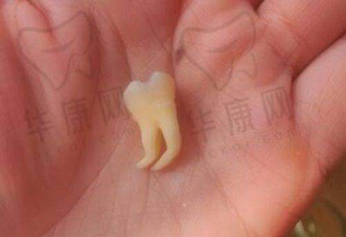 常熟牙博士口腔门诊部口碑与患者评价